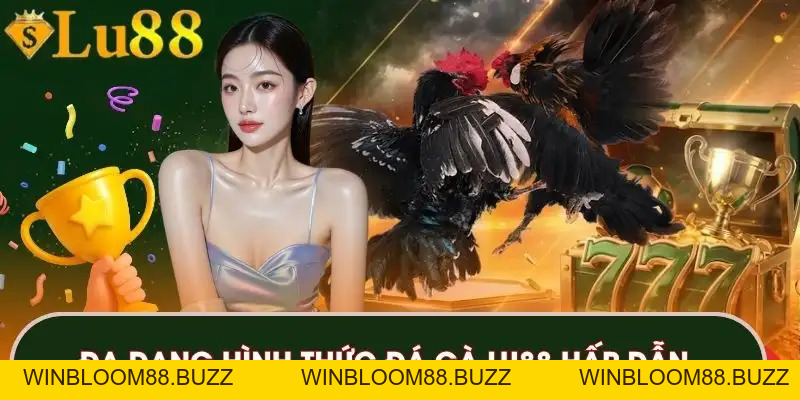 Đá Gà LU88 – Trải Nghiệm Chọi Kê Với Các Hình Thức Đỉnh Cao - winbloom88.buzz