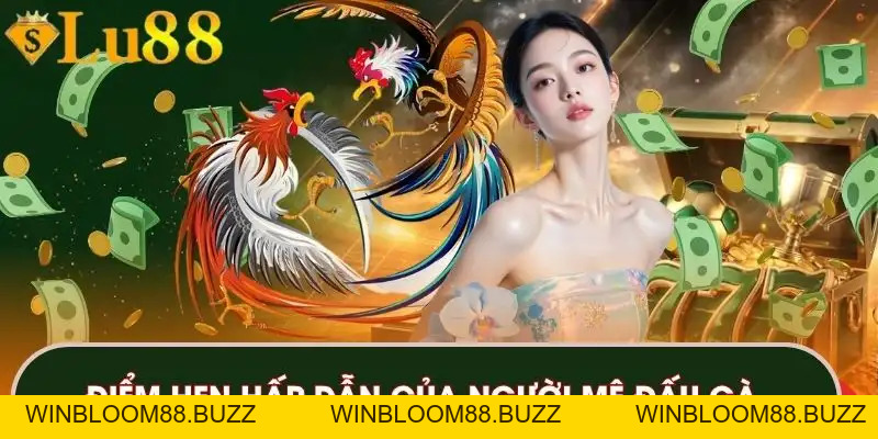 Đá Gà LU88 – Trải Nghiệm Chọi Kê Với Các Hình Thức Đỉnh Cao - winbloom88.buzz