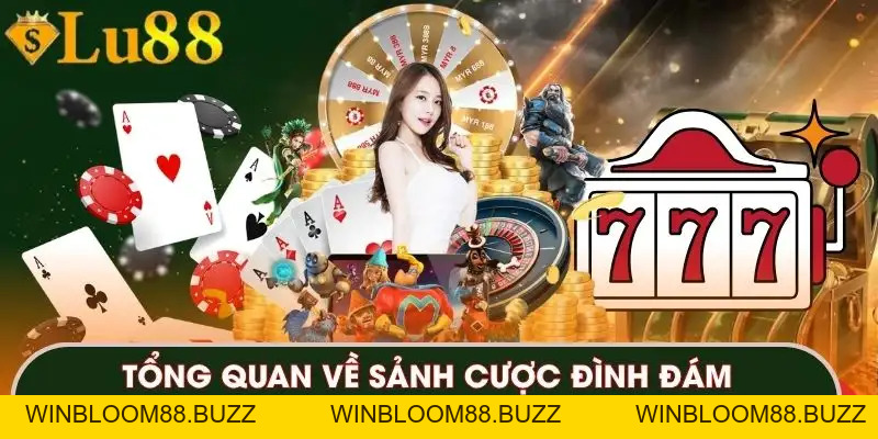 DB Live Casino | Trải Nghiệm Game Trực Tuyến Đẳng Cấp - winbloom88.buzz