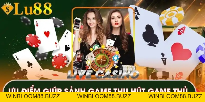 DB Live Casino | Trải Nghiệm Game Trực Tuyến Đẳng Cấp - winbloom88.buzz